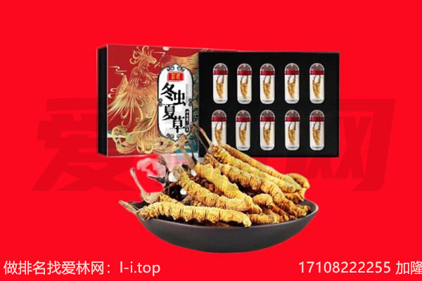 呼伦贝尔海拉尔区回收虫草.jpg